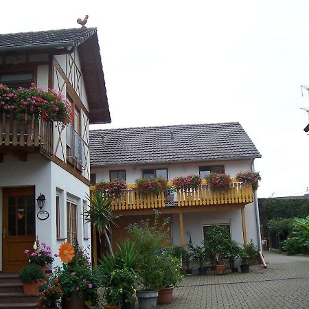 Apartamento Meyerhof Wittenweier Exterior foto