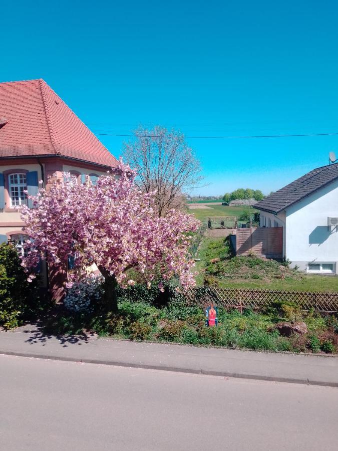Apartamento Meyerhof Wittenweier Exterior foto
